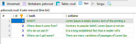 crud-veritabanı-veri