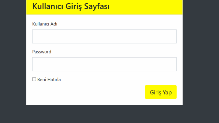 login-giris-sayfası