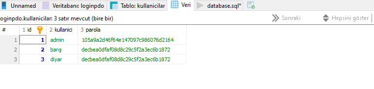 login-sayfasi-veritabanı-veri